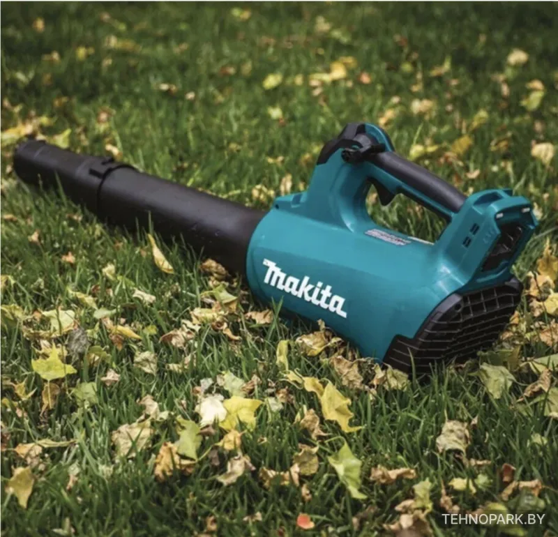 Аренда воздуходувок: электрическая Ryobi (220В) и аккумуляторная Makita (18В)