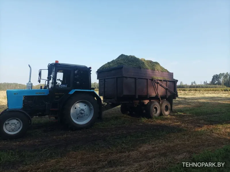 Аренда трактора Беларус 82.1 с прицепом ПСТ-9 (9 т / 15 м.куб)