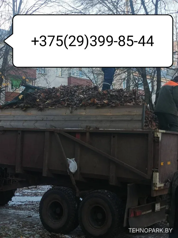 Аренда трактора Беларус 82.1 с прицепом ПСТ-9 (9 т / 15 м.куб)